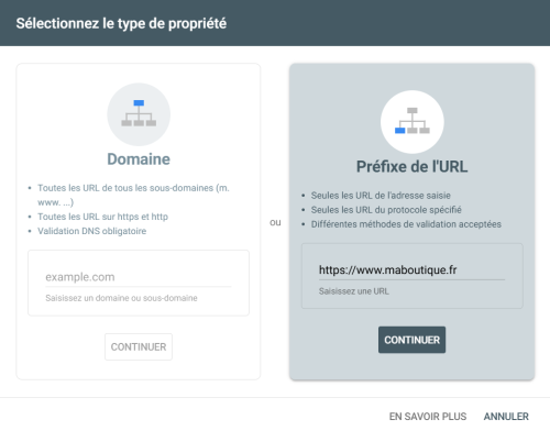 type de propriété Google Search Console