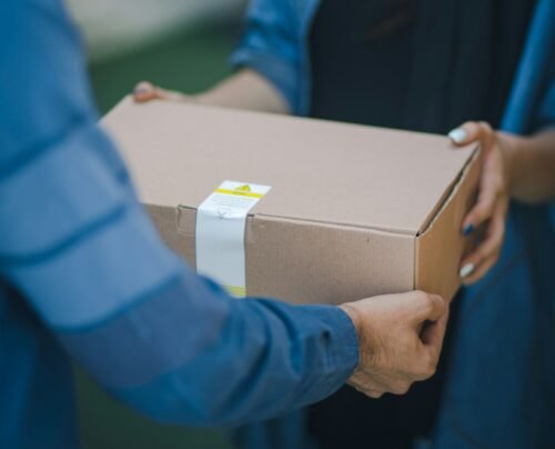 Rosebox BFdSCxmqvYc unsplash